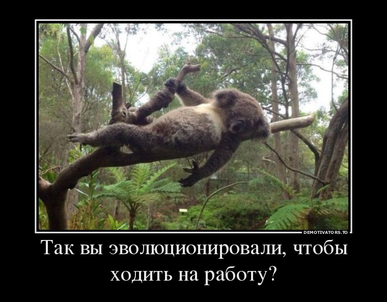 Почему я хожу на работу
