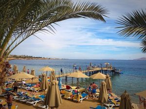 Xperience Sea Breeze пляж январь
