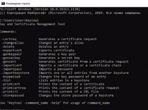 Пример вывода Keytool после установки. Синтаксис keytool