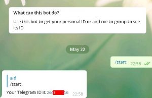 Как узнать свой id телеграм